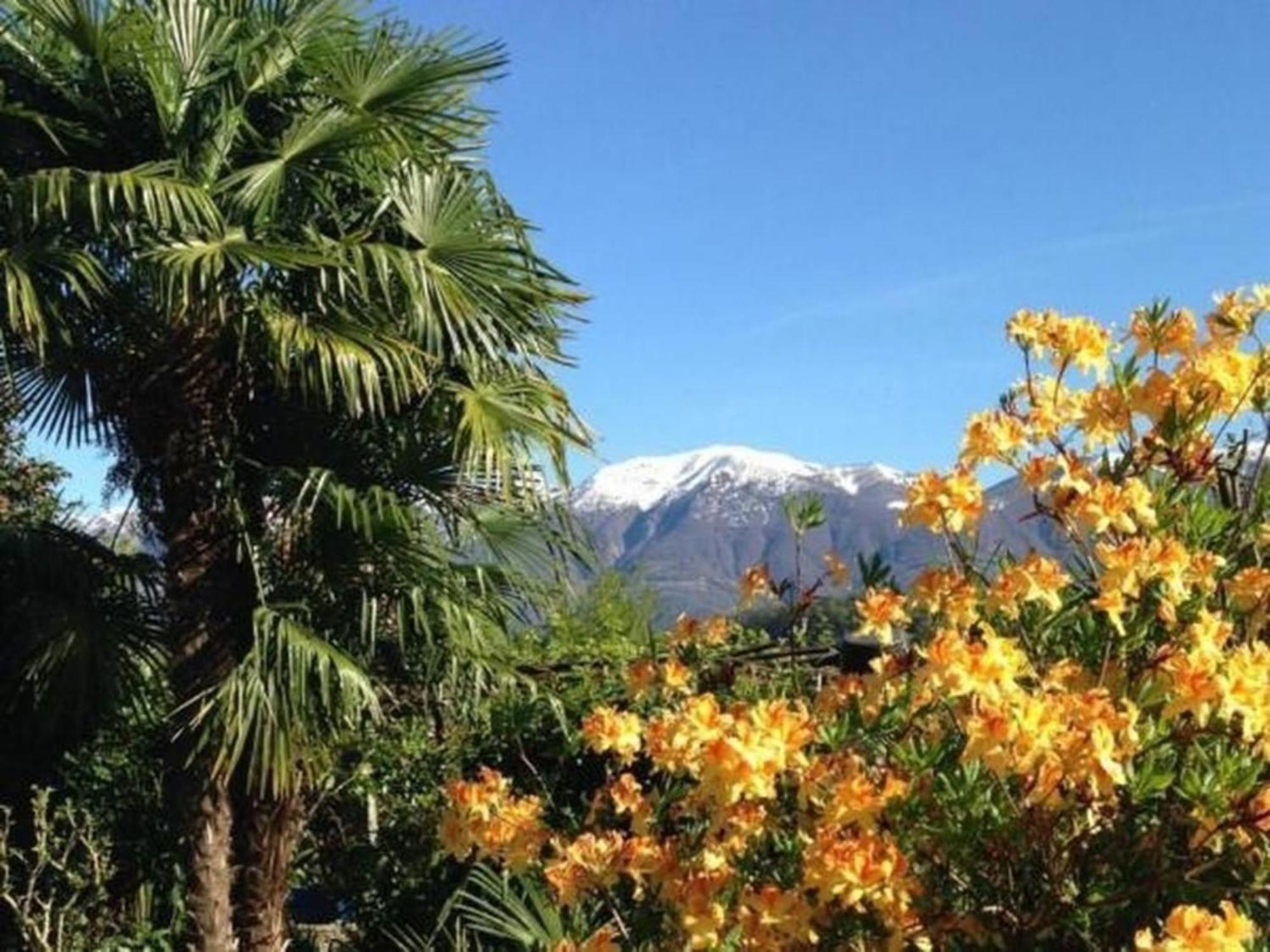 """Casa Elena -Tegna"" Die Ruheoase In Grossem Garten" Buitenkant foto
